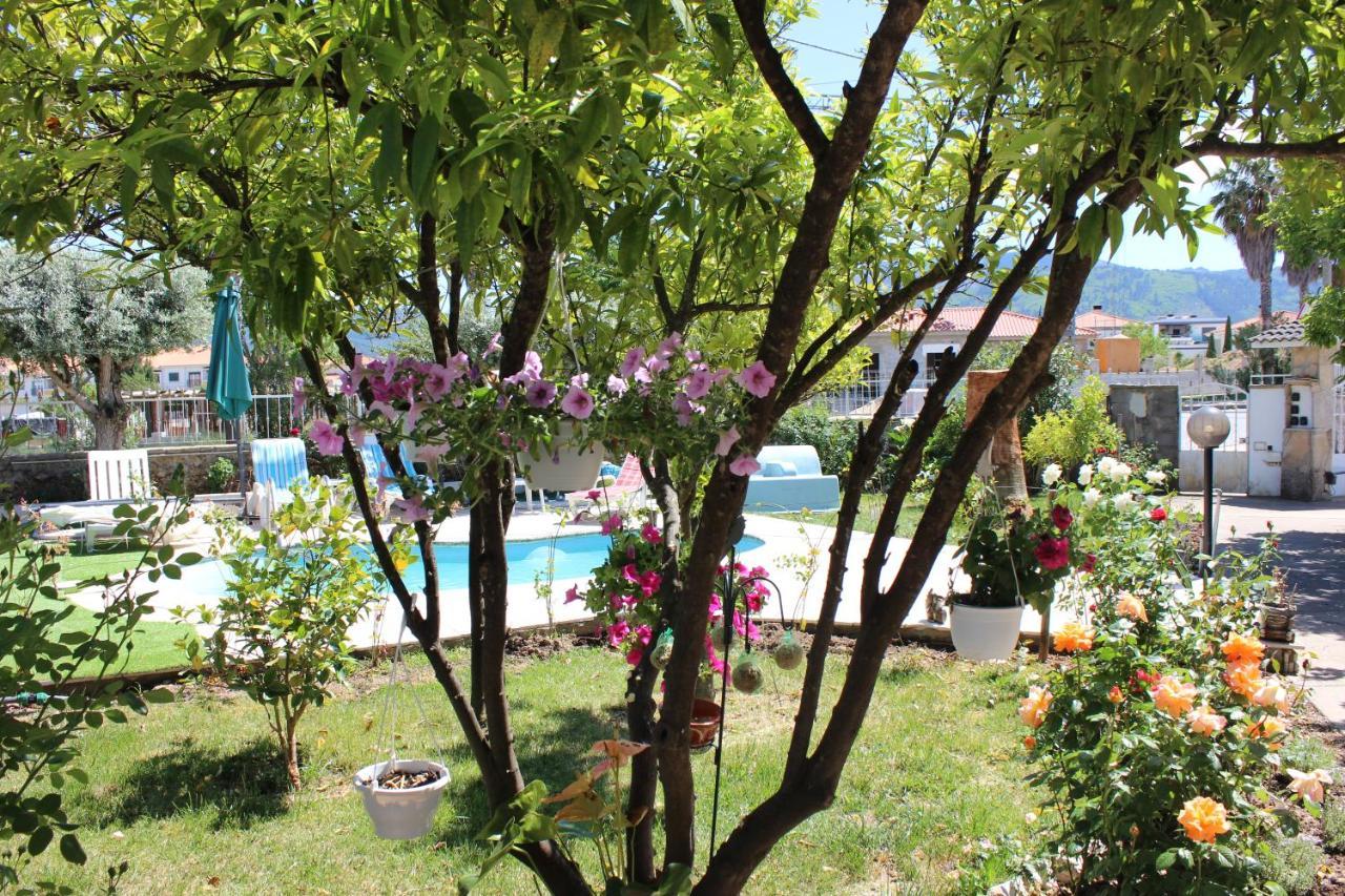 Quinta De Sao Marcos Guest House Fundao Luaran gambar